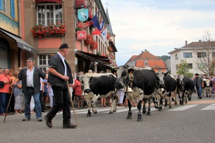 Fête de la Transhumance